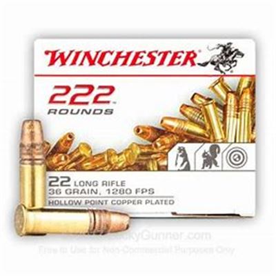 WINCHESTER  22 LR   36 GRAIN HOLLOW POINT  222 PACK