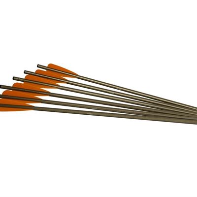 Excalibur  2213 Aluminum Arrows 20" XX75 6pk