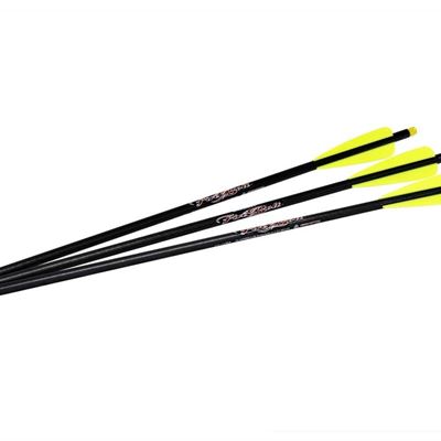 Excalibur  Firebolt  20"  Illuminated Carbon Arrow 3pk