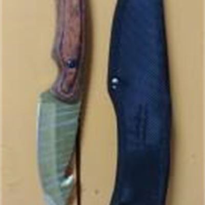 8" Gut Hook Hunting Knife