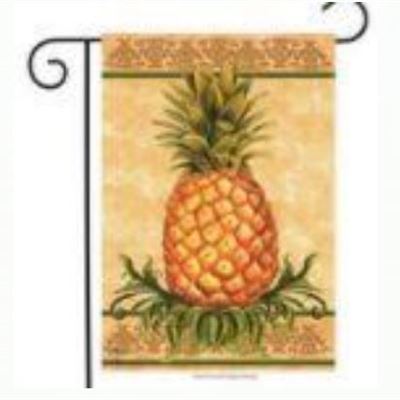 18” x 24” Pineapple
