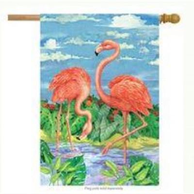 28” x 40” Flamingoes