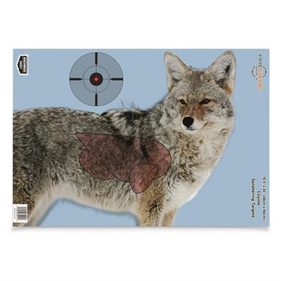 PreGame Targets  16.5" x 24"  Coyote