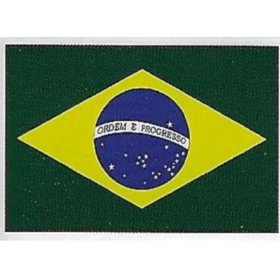 3’ x 5’ Brazil