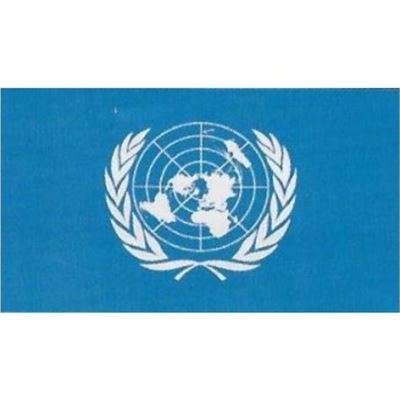 3’ x 5’ United Nations