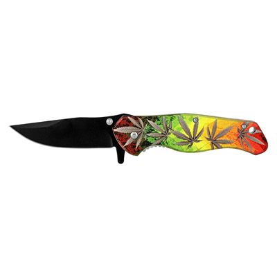 4.75" Quick Access Folding Pocket Knife - Ascension of Mary Jane